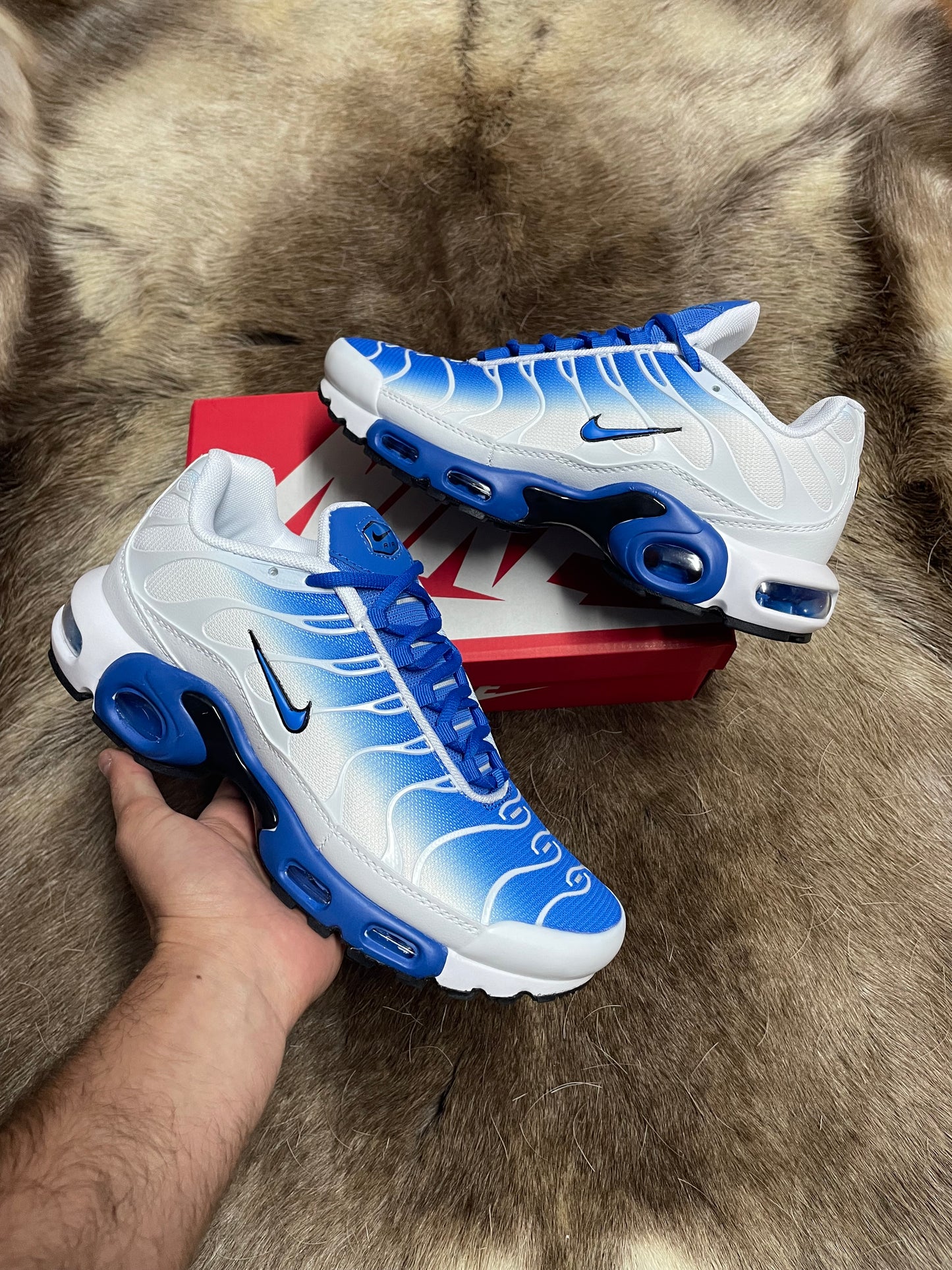 Nike TN - Air Max Plus "White Royal Blue"